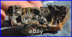 Dinosaur Bone Fossil Trick or Treat Jurassic Petrified Jewelry Stone 57gr-2oz