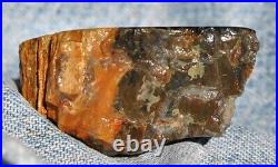 Dinosaur Bone Fossil Trick or Treat Jurassic Petrified Jewelry Stone 57gr-2oz