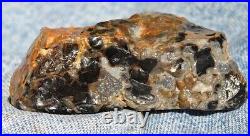 Dinosaur Bone Fossil Trick or Treat Jurassic Petrified Jewelry Stone 57gr-2oz