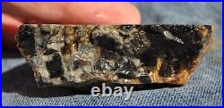 Dinosaur Bone Fossil Trick or Treat Jurassic Petrified Jewelry Stone 57gr-2oz