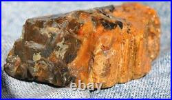 Dinosaur Bone Fossil Trick or Treat Jurassic Petrified Jewelry Stone 57gr-2oz