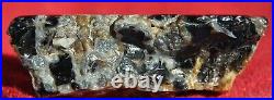 Dinosaur Bone Fossil Trick or Treat Jurassic Petrified Jewelry Stone 57gr-2oz