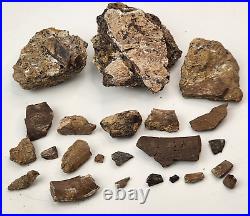 Dinosaur Bone Fragment Fossils Bulk Lot Aguja Fm Brewster Co, TX