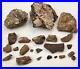 Dinosaur Bone Fragment Fossils Bulk Lot Aguja Fm Brewster Co, TX