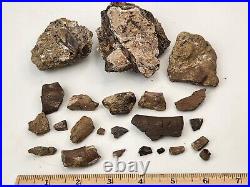 Dinosaur Bone Fragment Fossils Bulk Lot Aguja Fm Brewster Co, TX