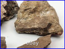 Dinosaur Bone Fragment Fossils Bulk Lot Aguja Fm Brewster Co, TX