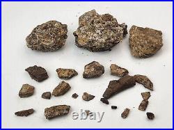 Dinosaur Bone Fragment Fossils Bulk Lot Aguja Fm Brewster Co, TX