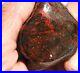 Dinosaur Bone Healing Meditation Charm Decor Black Cherry Lover 99gr-3.5oz