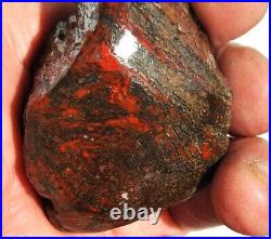 Dinosaur Bone Healing Meditation Charm Decor Black Cherry Lover 99gr-3.5oz