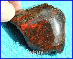 Dinosaur Bone Healing Meditation Charm Decor Black Cherry Lover 99gr-3.5oz