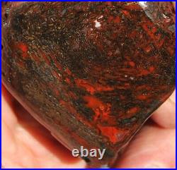 Dinosaur Bone Healing Meditation Charm Decor Black Cherry Lover 99gr-3.5oz