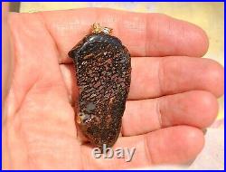 Dinosaur Bone Pendant 14k Gold Enchanted Charm Magic Psychic Healing Spiritual