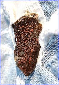 Dinosaur Bone Pendant 14k Gold Enchanted Charm Magic Psychic Healing Spiritual