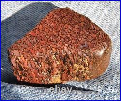 Dinosaur Bone Pink Lady LGBTQIA+ Psychic Spiritual Magic Charm Décor 30gr-1oz