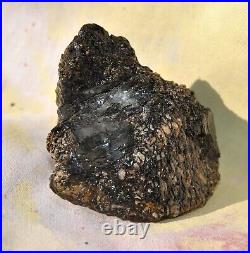 Dinosaur Bone Rainbow Volcano Fossil Jurassic Energy Psychic Telepathic 87gr