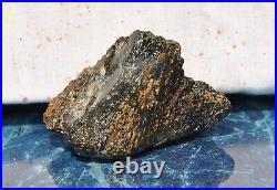 Dinosaur Bone Rainbow Volcano Fossil Jurassic Energy Psychic Telepathic 87gr