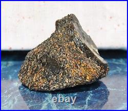 Dinosaur Bone Rainbow Volcano Fossil Jurassic Energy Psychic Telepathic 87gr