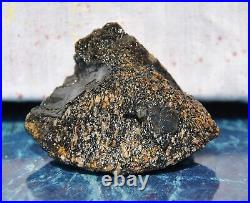 Dinosaur Bone Rainbow Volcano Fossil Jurassic Energy Psychic Telepathic 87gr