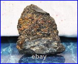 Dinosaur Bone Rainbow Volcano Fossil Jurassic Energy Psychic Telepathic 87gr