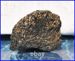 Dinosaur Bone Rainbow Volcano Fossil Jurassic Energy Psychic Telepathic 87gr