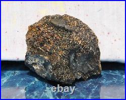 Dinosaur Bone Rainbow Volcano Fossil Jurassic Energy Psychic Telepathic 87gr