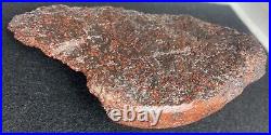 Dinosaur Bone Rare Large Solid Red Cell Fossil Specimen 392 Grams 13.8 Oz