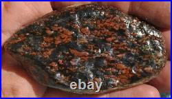 Dinosaur Bone Ruby Black Healing Talisman Meditation Jurassic Stone 75g-2.6oz