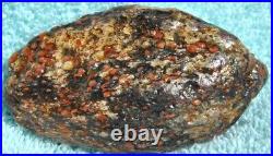 Dinosaur Bone Ruby Black Healing Talisman Meditation Jurassic Stone 75g-2.6oz