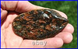 Dinosaur Bone Ruby Black Healing Talisman Meditation Jurassic Stone 75g-2.6oz