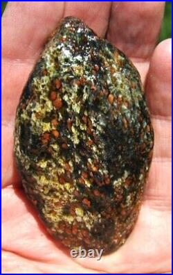 Dinosaur Bone Ruby Black Healing Talisman Meditation Jurassic Stone 75g-2.6oz