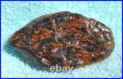 Dinosaur Bone Ruby Black Healing Talisman Meditation Jurassic Stone 75g-2.6oz