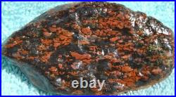 Dinosaur Bone Ruby Black Healing Talisman Meditation Jurassic Stone 75g-2.6oz