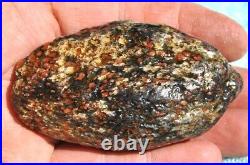 Dinosaur Bone Ruby Black Healing Talisman Meditation Jurassic Stone 75g-2.6oz