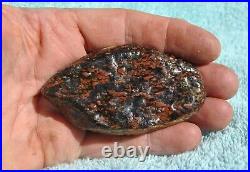 Dinosaur Bone Ruby Black Healing Talisman Meditation Jurassic Stone 75g-2.6oz