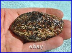 Dinosaur Bone Ruby Black Healing Talisman Meditation Jurassic Stone 75g-2.6oz