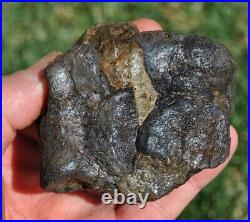 Dinosaur Conglomerate Gem Bone Barney Rubble Fossils Jurassic 238gr-8.4oz