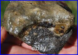 Dinosaur Conglomerate Gem Bone Barney Rubble Fossils Jurassic 238gr-8.4oz