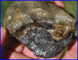 Dinosaur Conglomerate Gem Bone Barney Rubble Fossils Jurassic 238gr-8.4oz