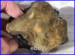 Dinosaur Conglomerate Gem Bone Barney Rubble Fossils Jurassic 238gr-8.4oz