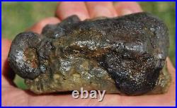 Dinosaur Conglomerate Gem Bone Barney Rubble Fossils Jurassic 238gr-8.4oz