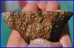 Dinosaur Dragon Skin Fossil Bone Jurassic Agatized Jewelry Quality 78gr-2.8oz