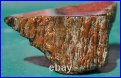 Dinosaur Dragon Skin Fossil Bone Jurassic Agatized Jewelry Quality 78gr-2.8oz