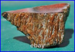 Dinosaur Dragon Skin Fossil Bone Jurassic Agatized Jewelry Quality 78gr-2.8oz