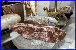 Dinosaur Egg And Rare Dinosaur Hand Bone In Matrix Fossil. Oviraptor Species