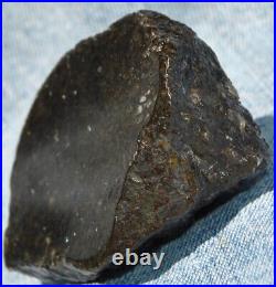 Dinosaur Fossil Black Starry Night Jurassic Healing Psychic Telepathic 61gr