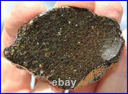 Dinosaur Fossil Black Starry Night Jurassic Healing Psychic Telepathic 61gr