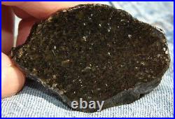 Dinosaur Fossil Black Starry Night Jurassic Healing Psychic Telepathic 61gr