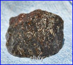 Dinosaur Fossil Black Starry Night Jurassic Healing Psychic Telepathic 61gr