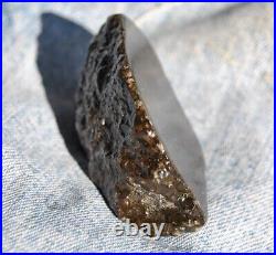 Dinosaur Fossil Black Starry Night Jurassic Healing Psychic Telepathic 61gr