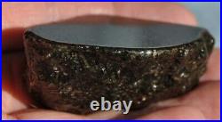 Dinosaur Fossil Black Starry Night Jurassic Healing Psychic Telepathic 61gr